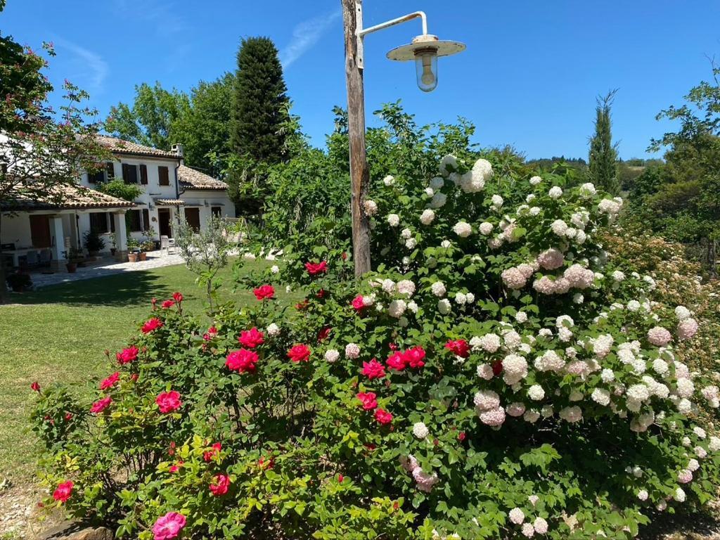 Casa Sant Angelo Leilighet Pesaro Eksteriør bilde