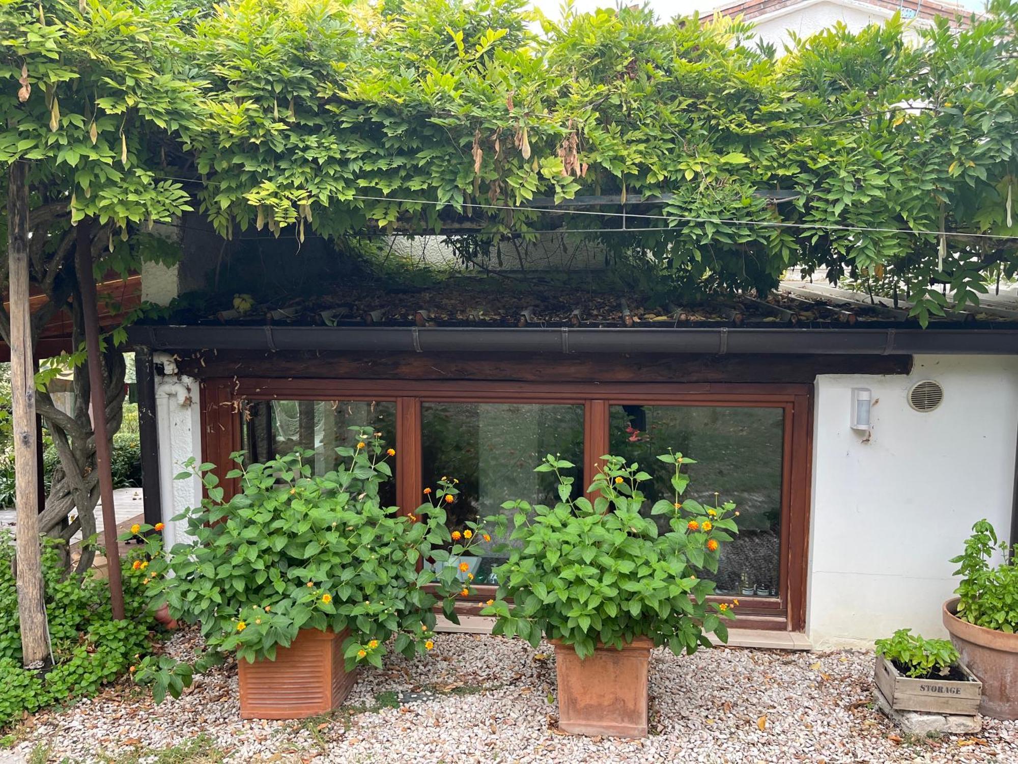 Casa Sant Angelo Leilighet Pesaro Eksteriør bilde